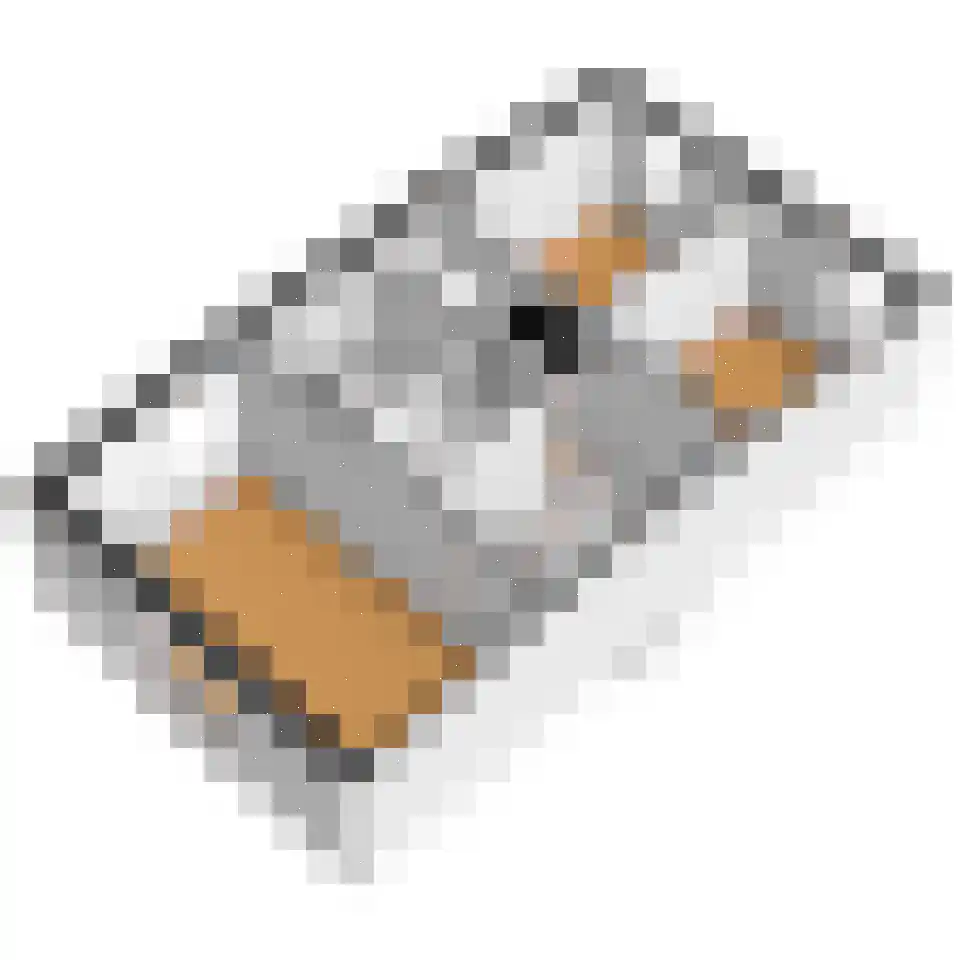 Lijsterbeslaan 78 Delft thumbnail 51