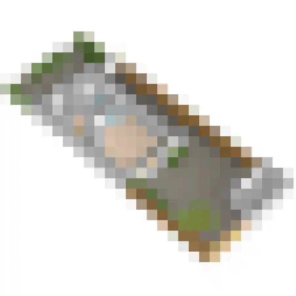 Lijsterbeslaan 78 Delft thumbnail 54