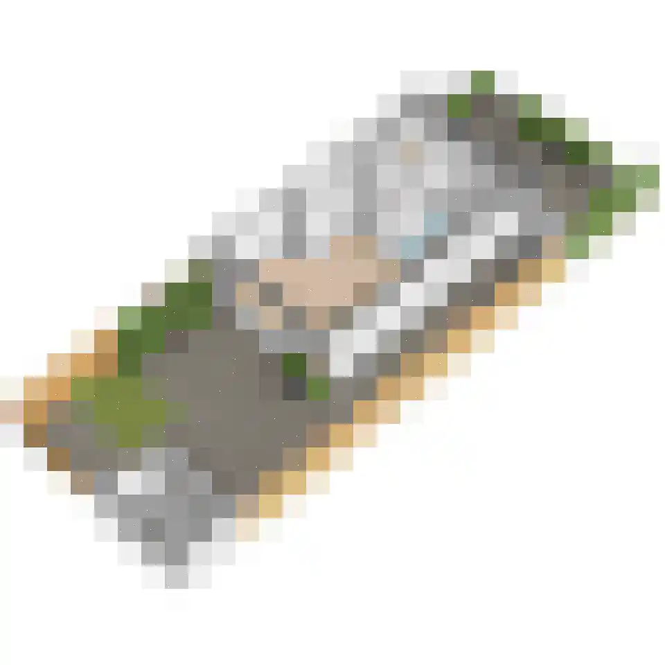 Lijsterbeslaan 78 Delft thumbnail 55