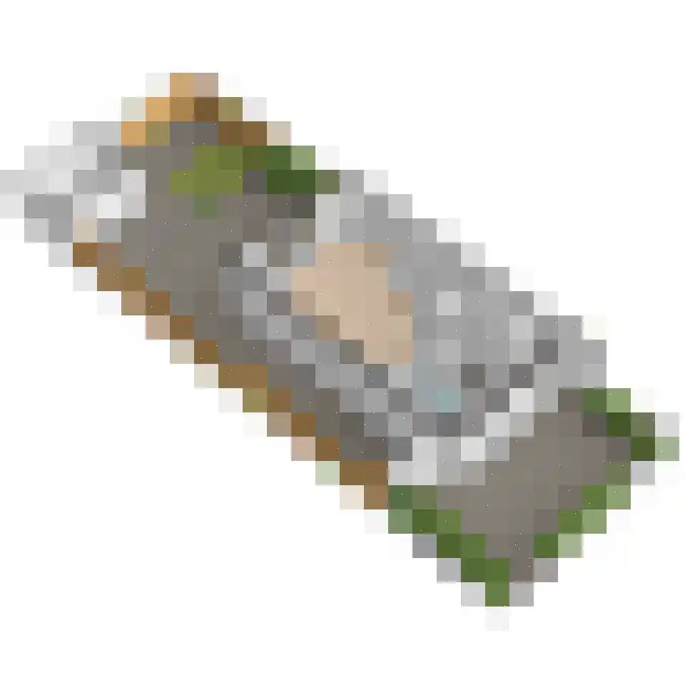 Lijsterbeslaan 78 Delft thumbnail 56