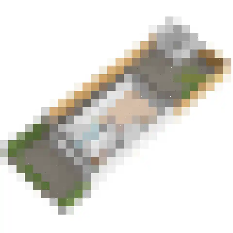 Lijsterbeslaan 78 Delft thumbnail 57