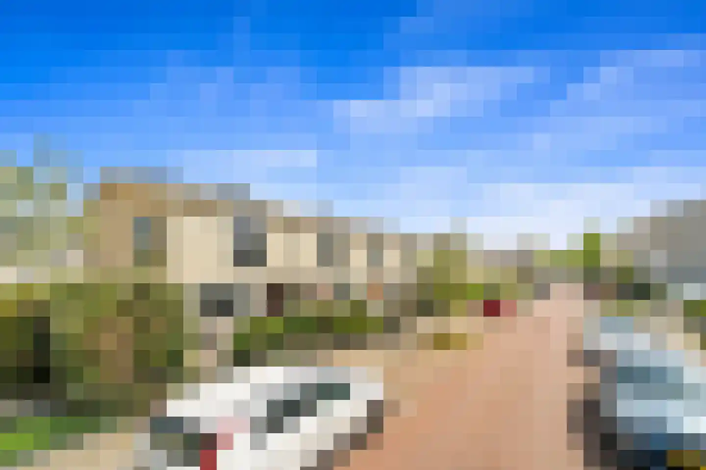 Lijsterbeslaan 78 Delft thumbnail 6