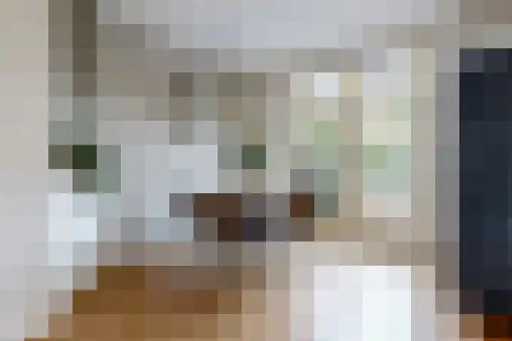 Lijsterbeslaan 8 Beverwijk thumbnail 10