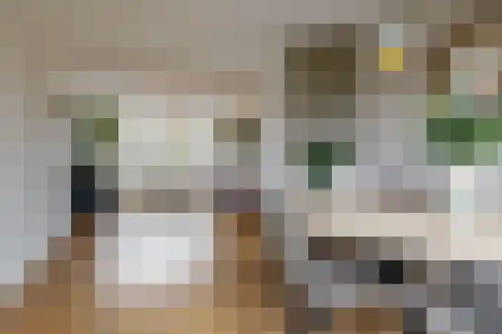 Lijsterbeslaan 8 Beverwijk thumbnail 11