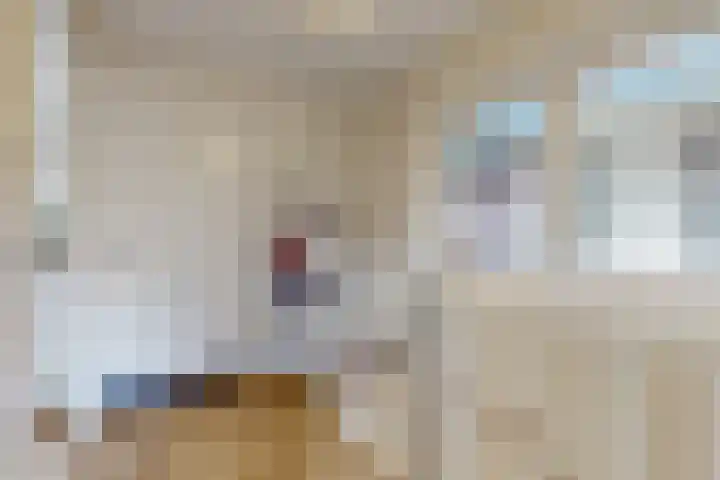 Lijsterbeslaan 8 Beverwijk thumbnail 16