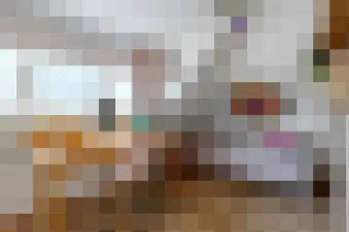 Lijsterbeslaan 8 Beverwijk thumbnail 27