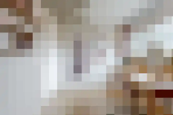 Lijsterbeslaan 8 Beverwijk thumbnail 28