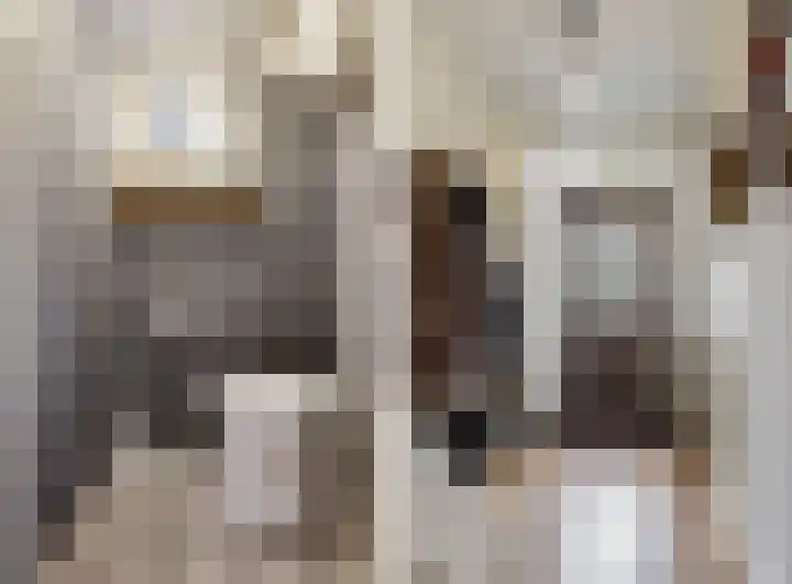 Lijsterbeslaan 8 Beverwijk thumbnail 5