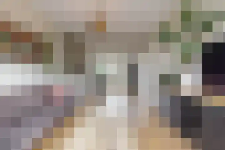 Lijsterbeslaan 8 Beverwijk thumbnail 7