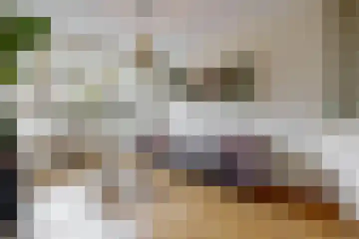 Lijsterbeslaan 8 Beverwijk thumbnail 8