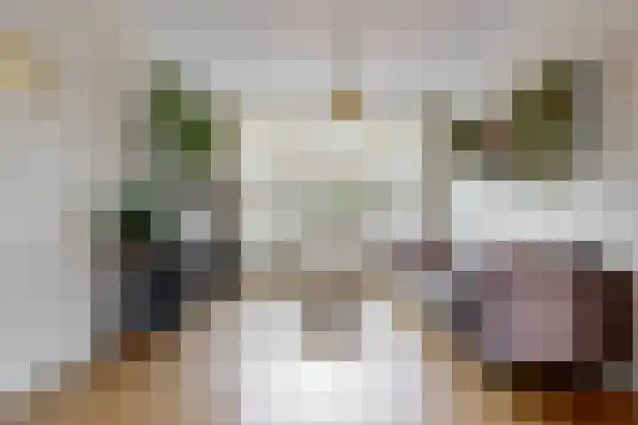 Lijsterbeslaan 8 Beverwijk thumbnail 9