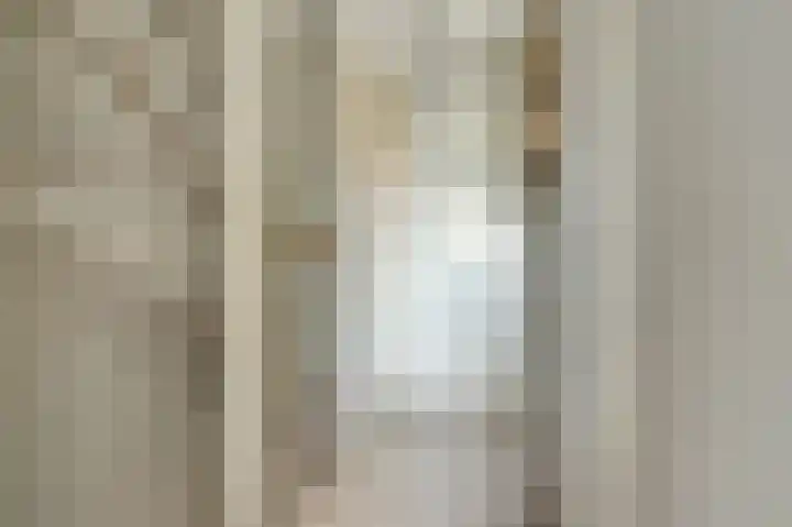 Lijsterbeslaan 8 Emmer-Compascuum thumbnail 11