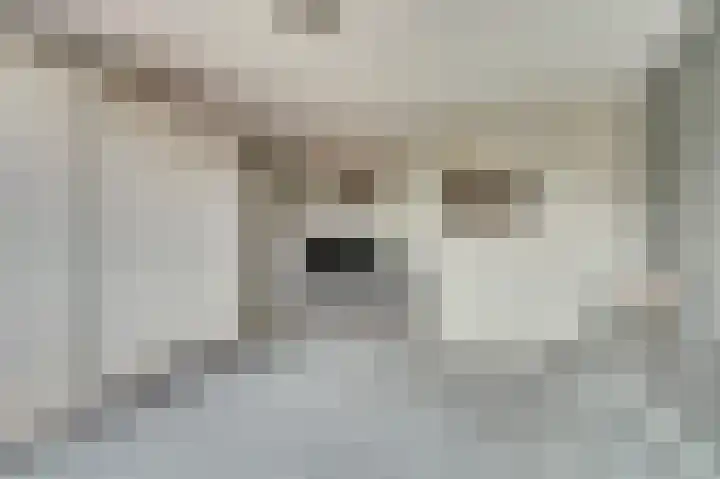 Lijsterbeslaan 8 Emmer-Compascuum thumbnail 12