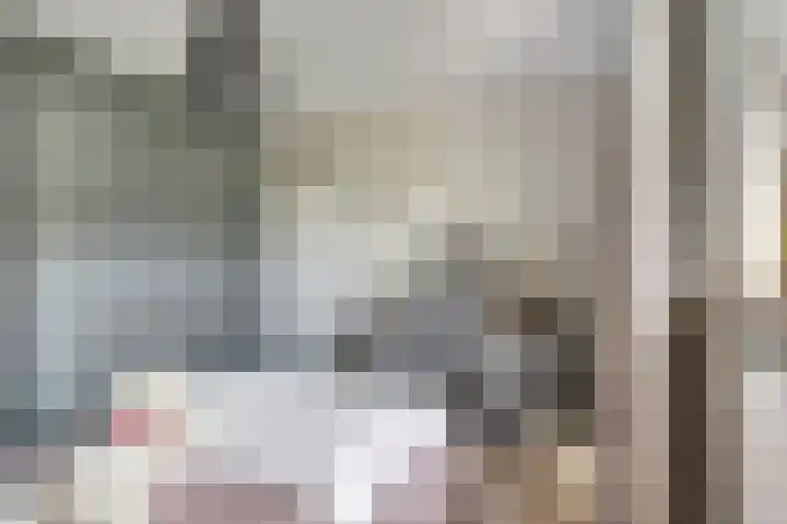 Lijsterbeslaan 8 Emmer-Compascuum thumbnail 14