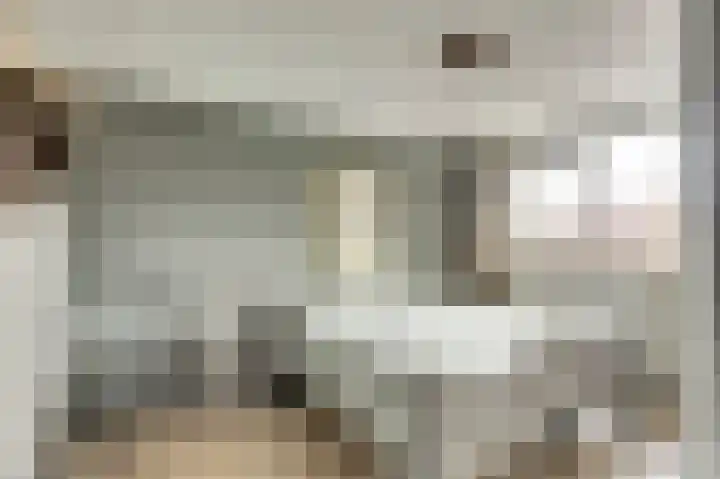 Lijsterbeslaan 8 Emmer-Compascuum thumbnail 16