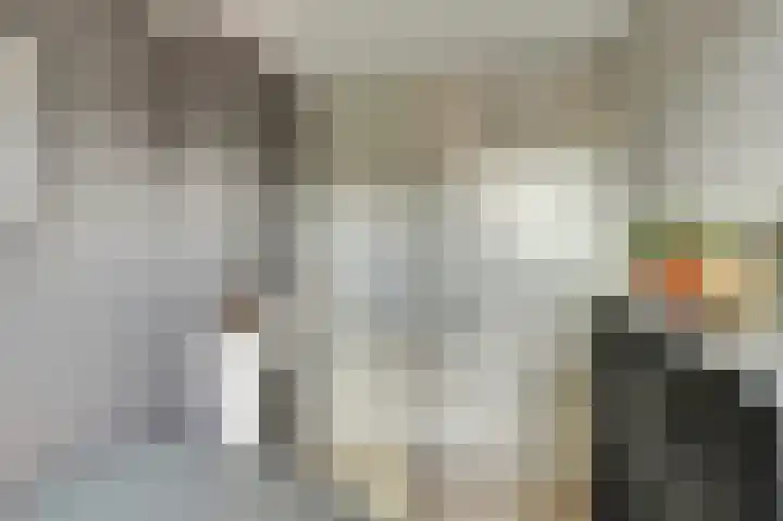 Lijsterbeslaan 8 Emmer-Compascuum thumbnail 17