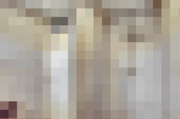 Lijsterbeslaan 8 Emmer-Compascuum thumbnail 20