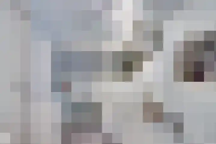 Lijsterbeslaan 8 Emmer-Compascuum thumbnail 21