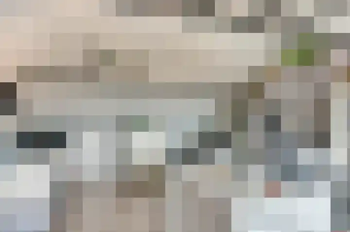 Lijsterbeslaan 8 Emmer-Compascuum thumbnail 22