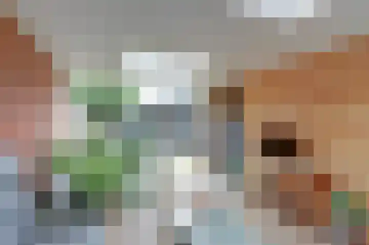 Lijsterbeslaan 8 Emmer-Compascuum thumbnail 25