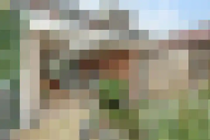Lijsterbeslaan 8 Emmer-Compascuum thumbnail 26