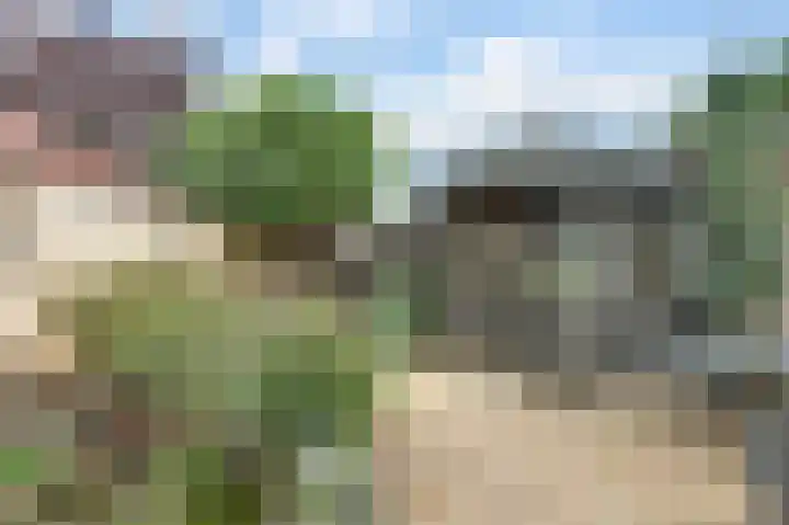 Lijsterbeslaan 8 Emmer-Compascuum thumbnail 27
