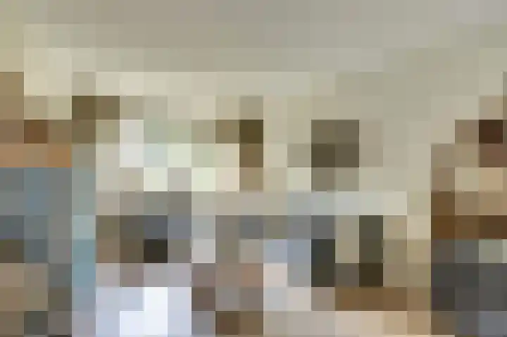 Lijsterbeslaan 8 Emmer-Compascuum foto 3