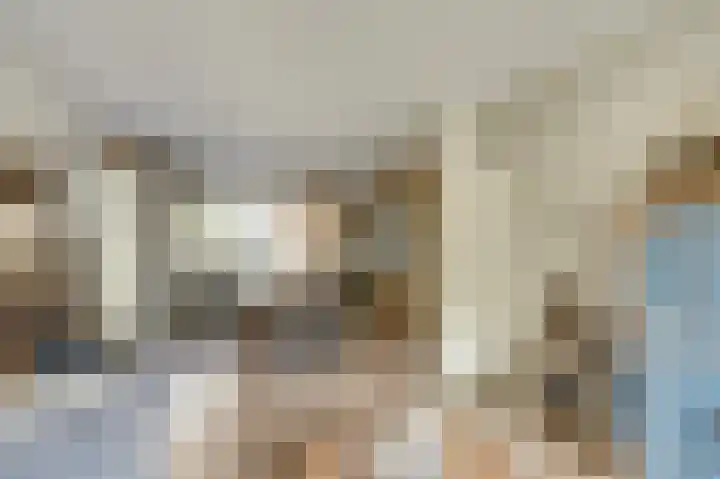 Lijsterbeslaan 8 Emmer-Compascuum thumbnail 4