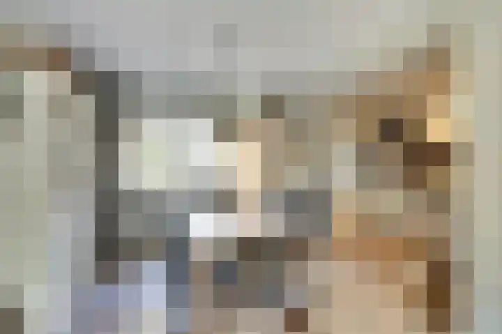 Lijsterbeslaan 8 Emmer-Compascuum thumbnail 6