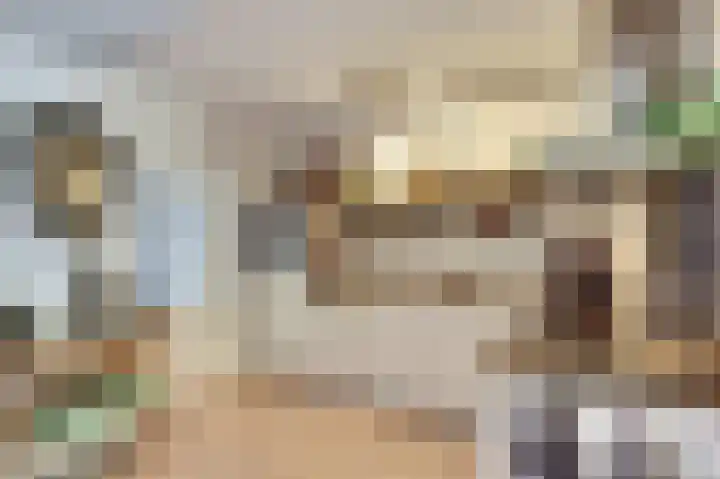 Lijsterbeslaan 8 Emmer-Compascuum thumbnail 7
