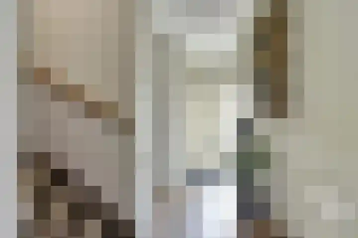 Lijsterbeslaan 8 Emmer-Compascuum thumbnail 9