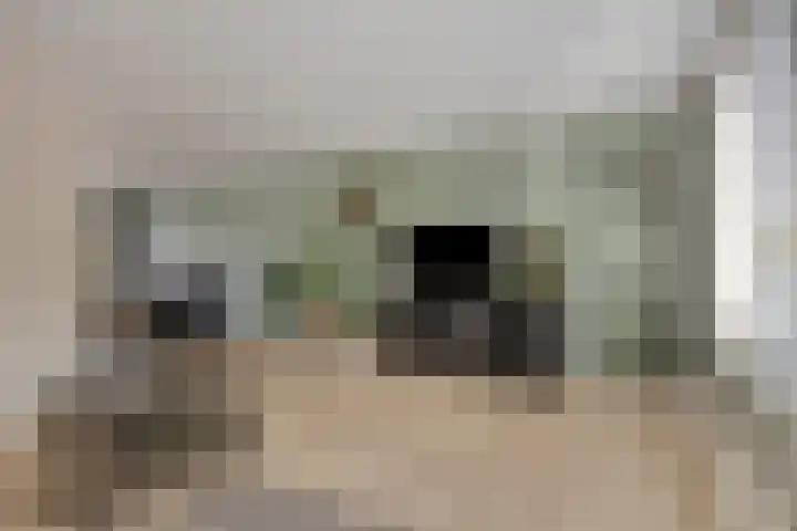 Lijsterbeslaan 8 Heerenveen thumbnail 10