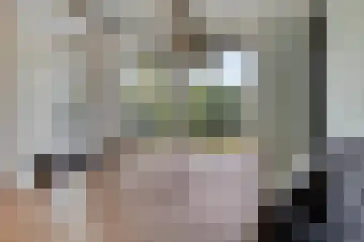 Lijsterbeslaan 8 Heerenveen thumbnail 12