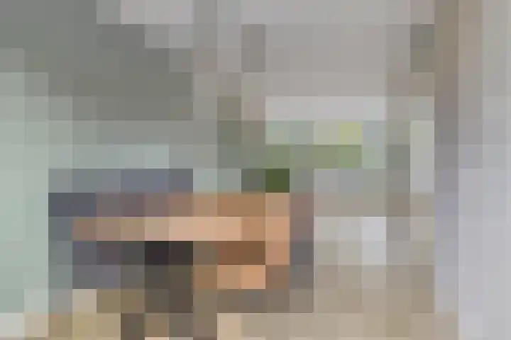 Lijsterbeslaan 8 Heerenveen thumbnail 13