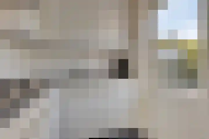 Lijsterbeslaan 8 Heerenveen thumbnail 15