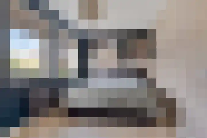 Lijsterbeslaan 8 Heerenveen thumbnail 19