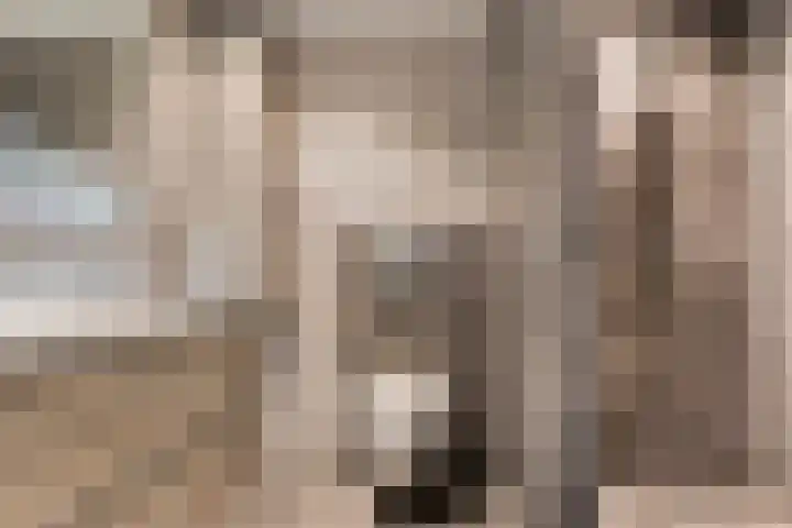 Lijsterbeslaan 8 Heerenveen thumbnail 21