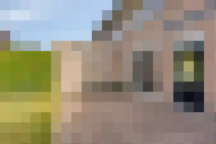 Lijsterbeslaan 8 Heerenveen thumbnail 33