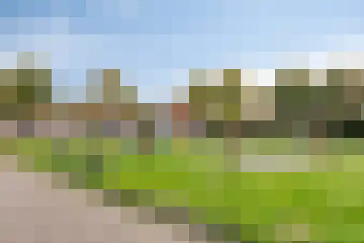 Lijsterbeslaan 8 Heerenveen thumbnail 35