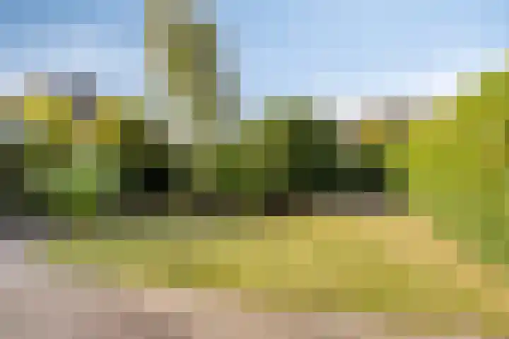 Lijsterbeslaan 8 Heerenveen thumbnail 4