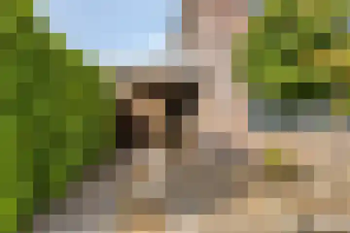 Lijsterbeslaan 8 Heerenveen thumbnail 6