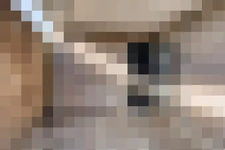 Lijsterbeslaan 8 Heerenveen thumbnail 7
