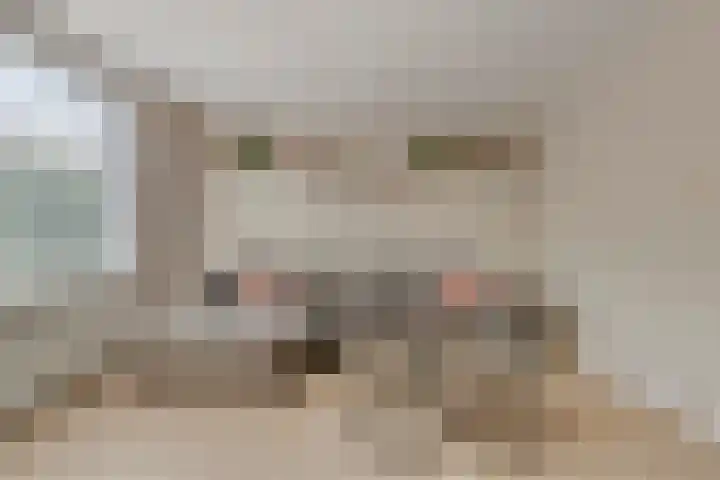 Lijsterbeslaan 8 Heerenveen thumbnail 9