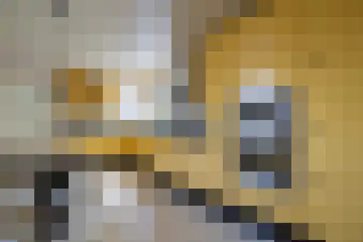 Lijsterbeslaan 81 Doetinchem thumbnail 10