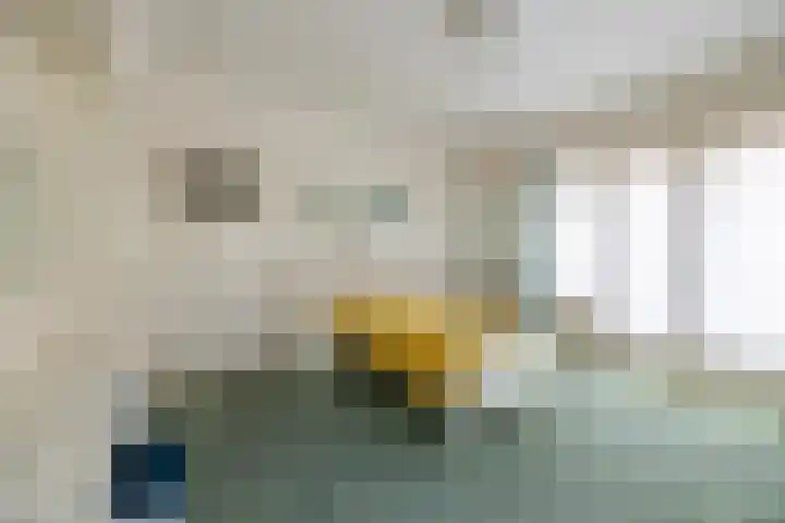 Lijsterbeslaan 81 Doetinchem thumbnail 15
