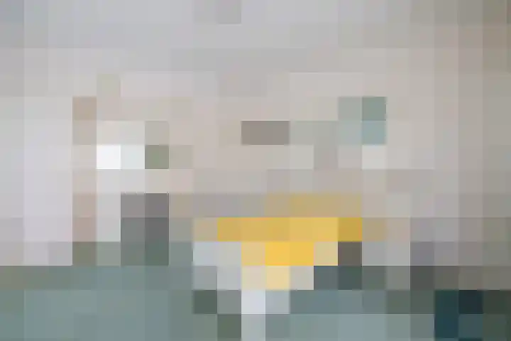 Lijsterbeslaan 81 Doetinchem thumbnail 16