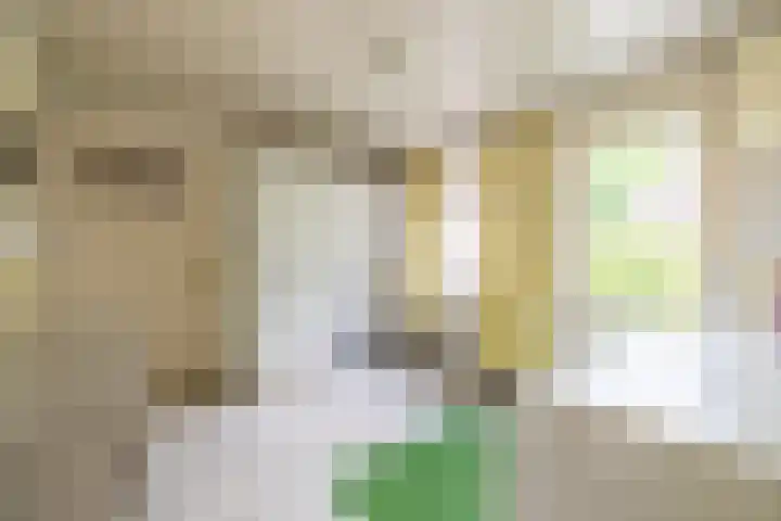 Lijsterbeslaan 81 Doetinchem thumbnail 17