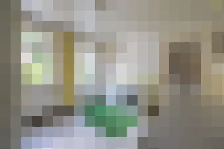 Lijsterbeslaan 81 Doetinchem thumbnail 18