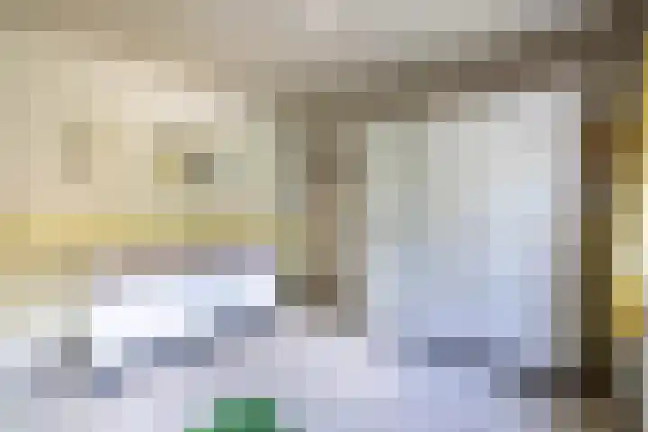 Lijsterbeslaan 81 Doetinchem thumbnail 19