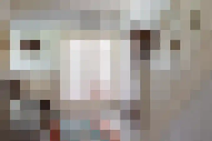 Lijsterbeslaan 81 Doetinchem thumbnail 23